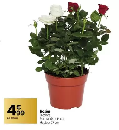 Rosier offre à 4,99€ sur Carrefour Market