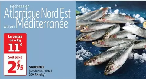 Sardines offre à 2,75€ sur Auchan Hypermarché