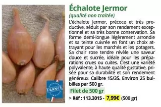 Échalote Jermor offre à 7,99€ sur Magellan