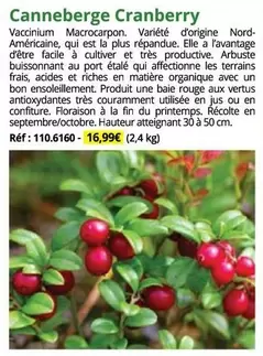 Canneberge Cranberry offre à 16,99€ sur Magellan
