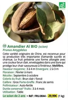 Amandier Aï Bio offre à 29,99€ sur Magellan