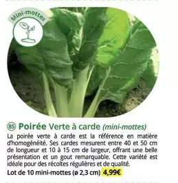 Poiree Verte A Carde offre à 4,99€ sur Magellan