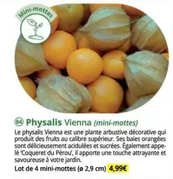 Physalis Vienna offre à 4,99€ sur Magellan