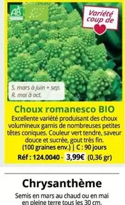 Mars - Chrysanthème offre à 3,99€ sur Magellan