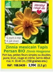 Mars - Zinnia Mexicain Tapis offre à 3,99€ sur Magellan