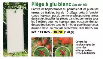 TOUS - Piège À Glu Blanc offre à 10,99€ sur Magellan