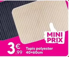 Tapis Polyester  offre à 3,99€ sur Maxi Bazar