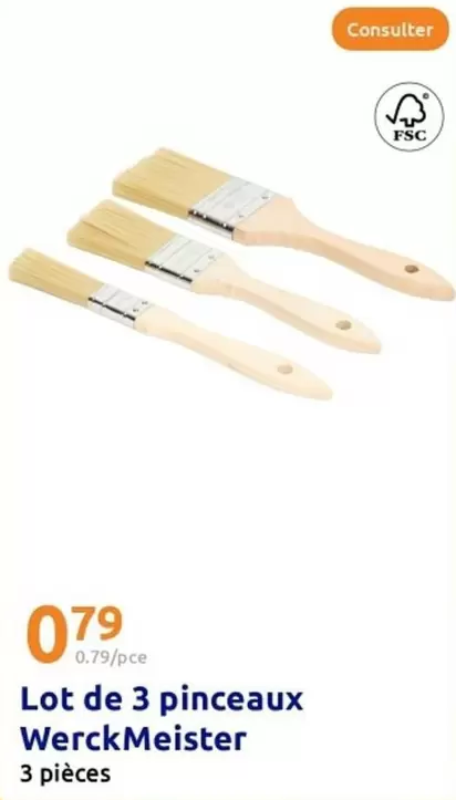 Lot De 3 Pinceaux offre à 0,79€ sur Action