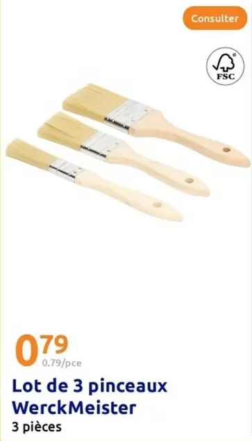 Lot De 3 Pinceaux offre à 0,79€ sur Action