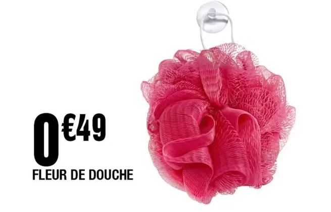 Fleur De Douche offre à 0,49€ sur La Foir'Fouille