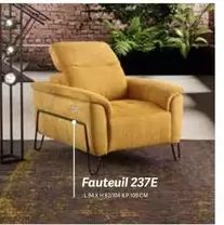 Fauteuil 237E offre sur Chateau d'Ax