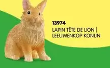 Lapin Tête De Lion offre sur Schleich