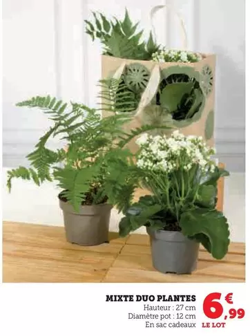 Mixte Duo Plantes offre à 6,99€ sur Super U