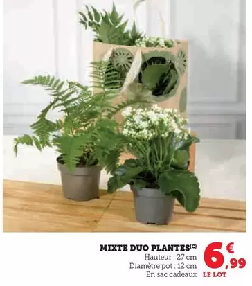 Mixte Duo Plantes offre à 6,99€ sur Hyper U