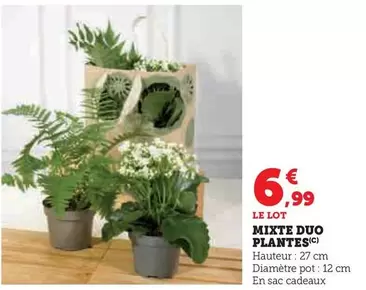 Mixte Duo Plantes offre à 6,99€ sur Super U