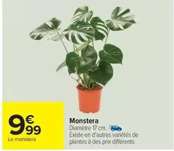 Monstera offre à 9,99€ sur Carrefour Contact