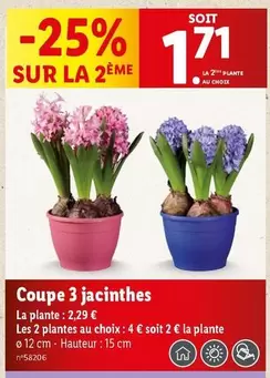 Coupe 3 Jacinthes offre à 2,29€ sur Lidl