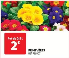 Primevères offre à 2€ sur Auchan Hypermarché