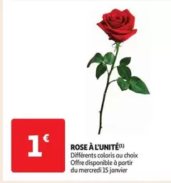 Rose À L'unite offre à 1€ sur Auchan Supermarché