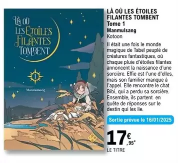 Le chat - La Ou Les Étoiles Filantes Tombent offre à 17,95€ sur E.Leclerc Espace Culturel