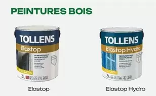 Tollens - Peintures Bois offre sur Zolpan