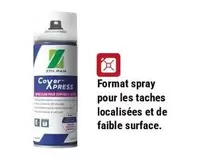 Zolpan - Format Spray Pour Les Taches Localisées Et De Fable Surface offre sur Zolpan