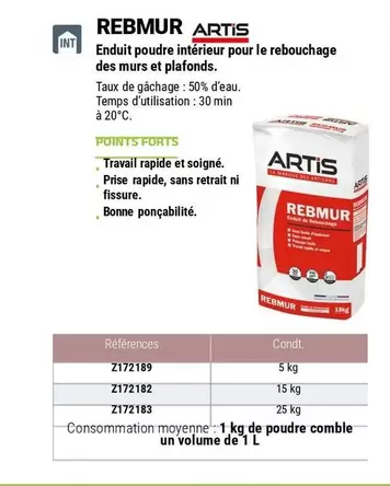 Artis - Rebmur  Enduit Poudre Intérieur Pour Le Rebouchage Des Murs Et Plafonds. offre sur Zolpan