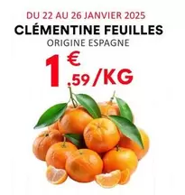 Clémentine Feuilles offre à 1,59€ sur Hmarket