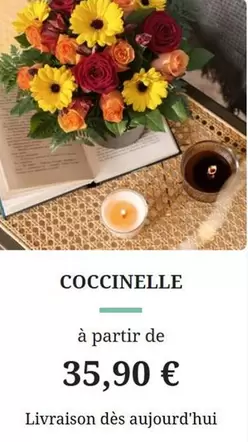 Coccinelle offre à 35,9€ sur Florajet