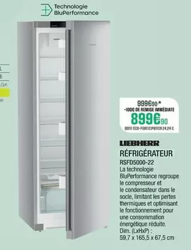 Liebherr - Refrigérateur RSFD5000 22  offre à 899,9€ sur Extra