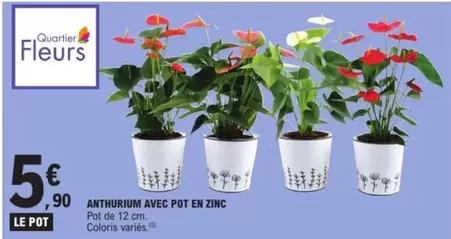 Anthurium Avec Pot En Zinc offre à 5,9€ sur E.Leclerc