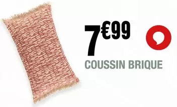 Coussin Brique offre à 7,99€ sur La Foir'Fouille