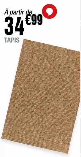 Tapis offre à 34,99€ sur La Foir'Fouille