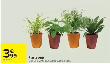 Plante Verte offre à 3,99€ sur Carrefour City