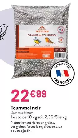 Grandeur Nature - Tournesol Noir offre à 22,99€ sur VillaVerde