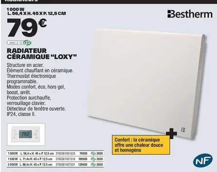 Boost - Radiateur Céramique "Looxy" offre à 79€ sur Brico Dépôt