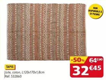 Tapis offre à 32,45€ sur Gifi