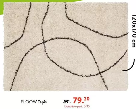 Floow Tapis offre à 79,2€ sur Casa