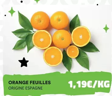 Orange -  Feuilles offre à 1,19€ sur Hmarket