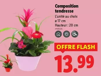 Composition Tendresse offre à 13,99€ sur Lidl