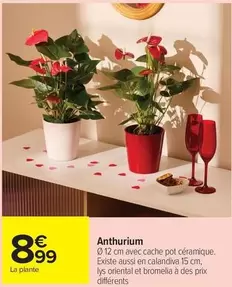 Anthurium offre à 8,99€ sur Carrefour Express