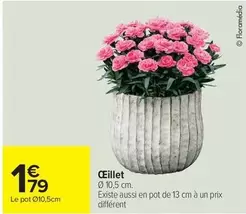 Œillet offre à 1,79€ sur Carrefour Express