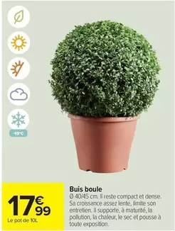 Buis Boule offre à 17,99€ sur Carrefour