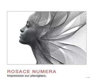 Rosace Numera Impression Sur Plexiglass. offre à 570€ sur monsieur meuble