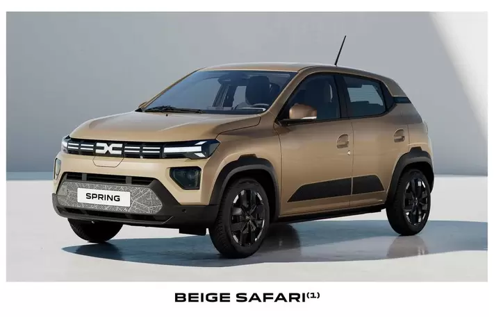 Dacia - Teintier Beige Safari offre sur Dacia