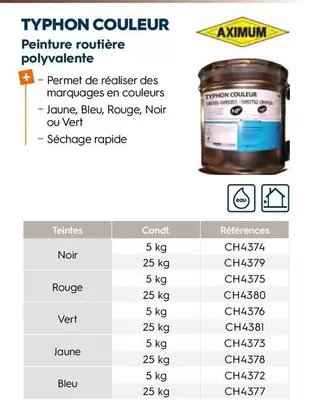 Peinture Routiere Polyvalente offre sur Tollens