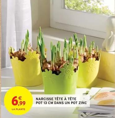 Narcisse Tête À Tête Pot 13 Cm Dans Un Pot Zinc offre à 6,99€ sur Intermarché Hyper