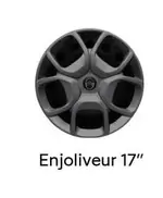 Citroën - Enjoliveur 17" offre sur Citroën