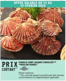 Pavillon France - Coquille Saint Jacques Coraillee offre sur E.Leclerc