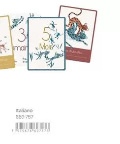 Cartes Mes 12 Premiers Mois Italiano offre sur Moulin Roty